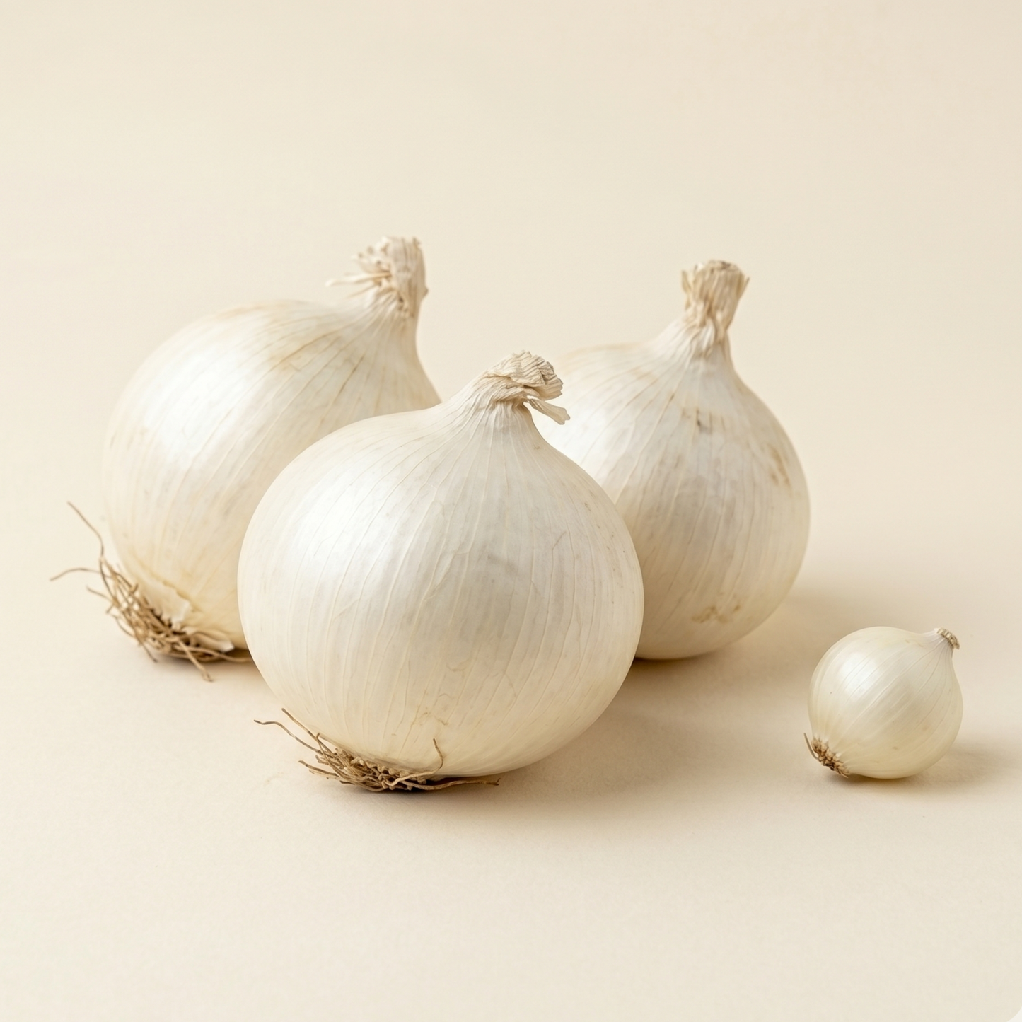 Onion White