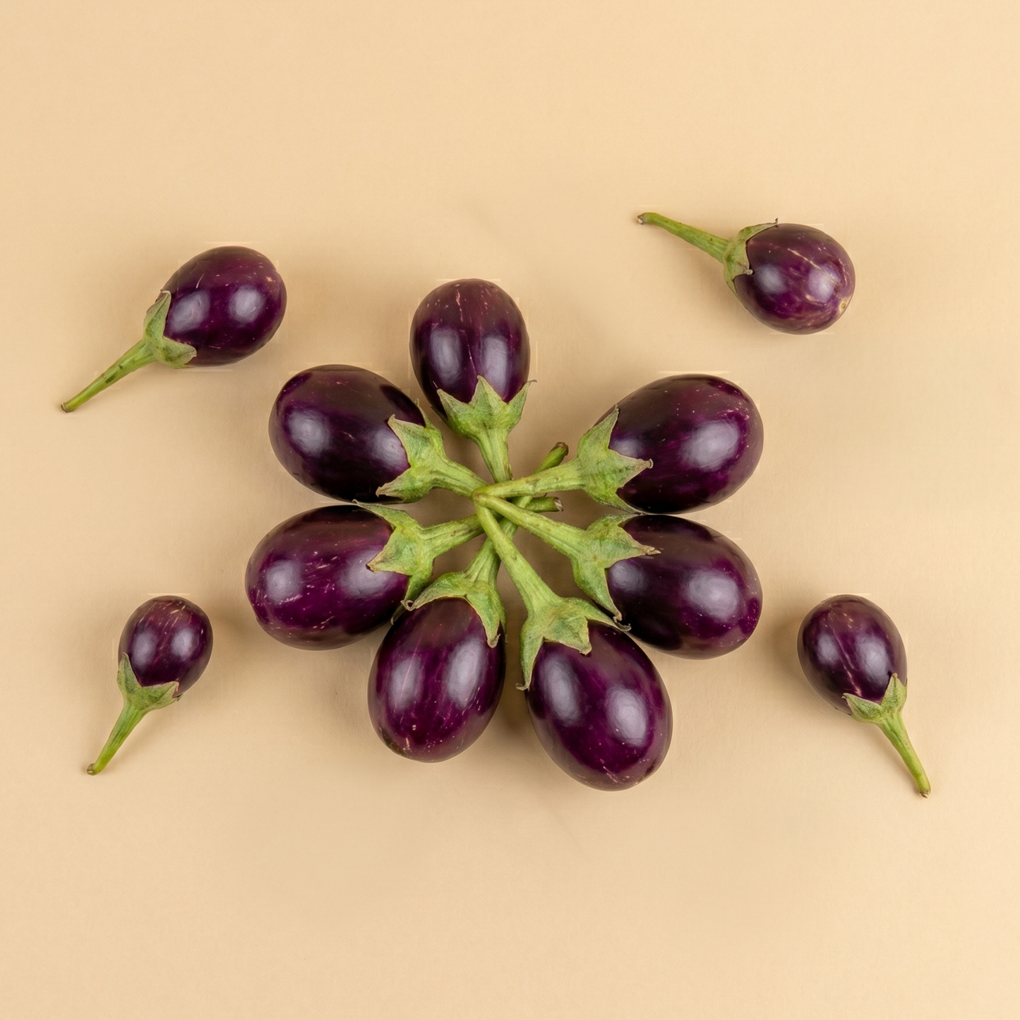 Brinjal Small