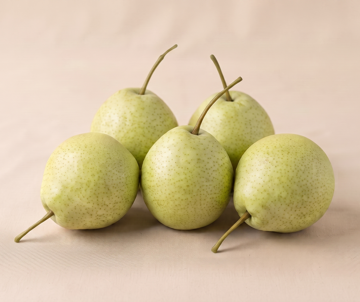 Pear Nakh