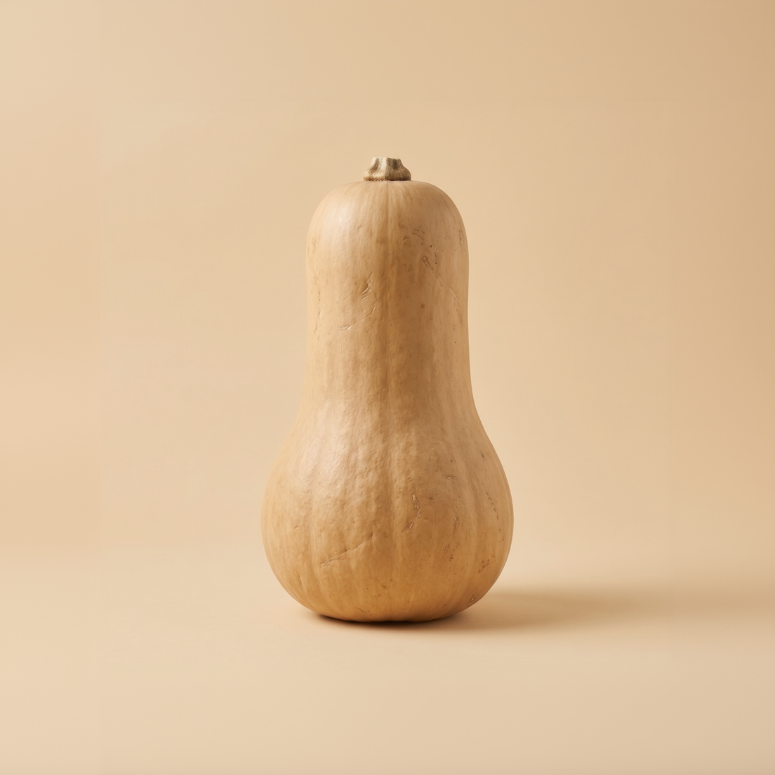 Butternut Squash Large