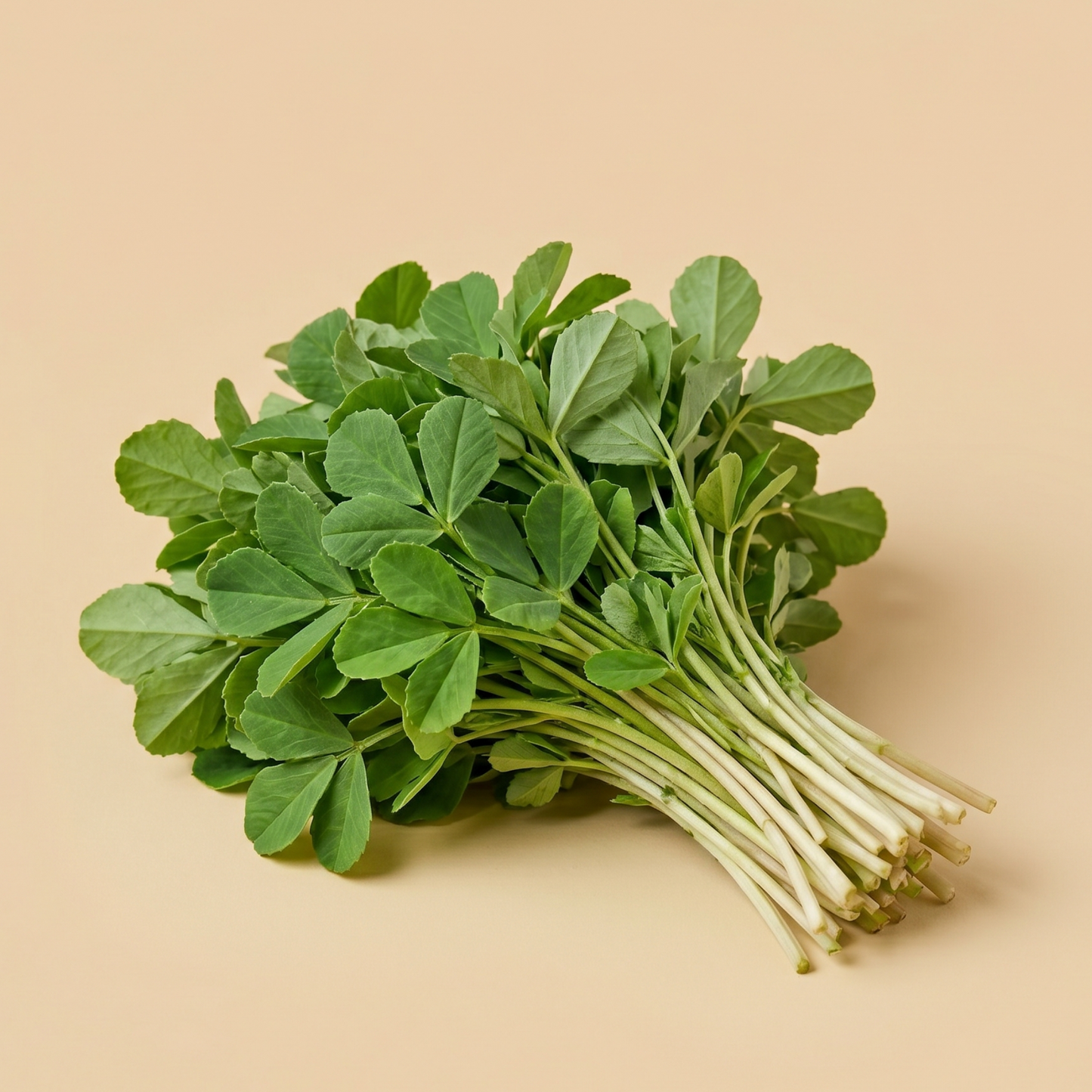 Methi