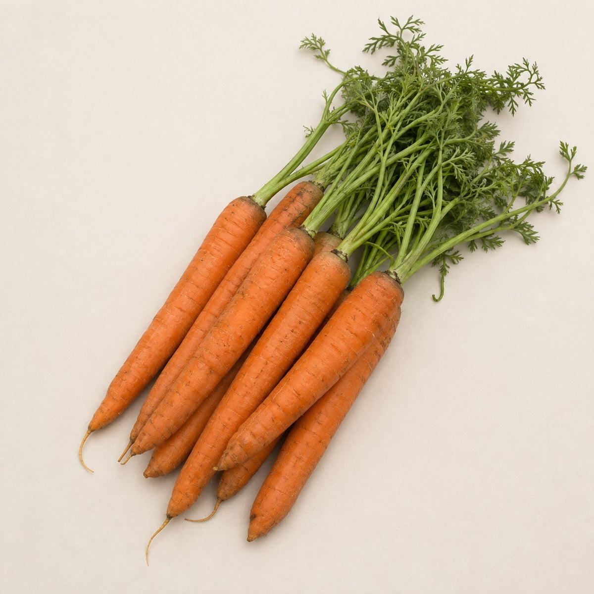Ooty Carrots