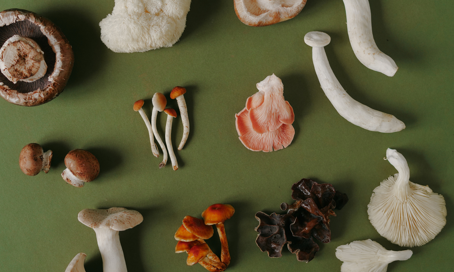 Mushrooms