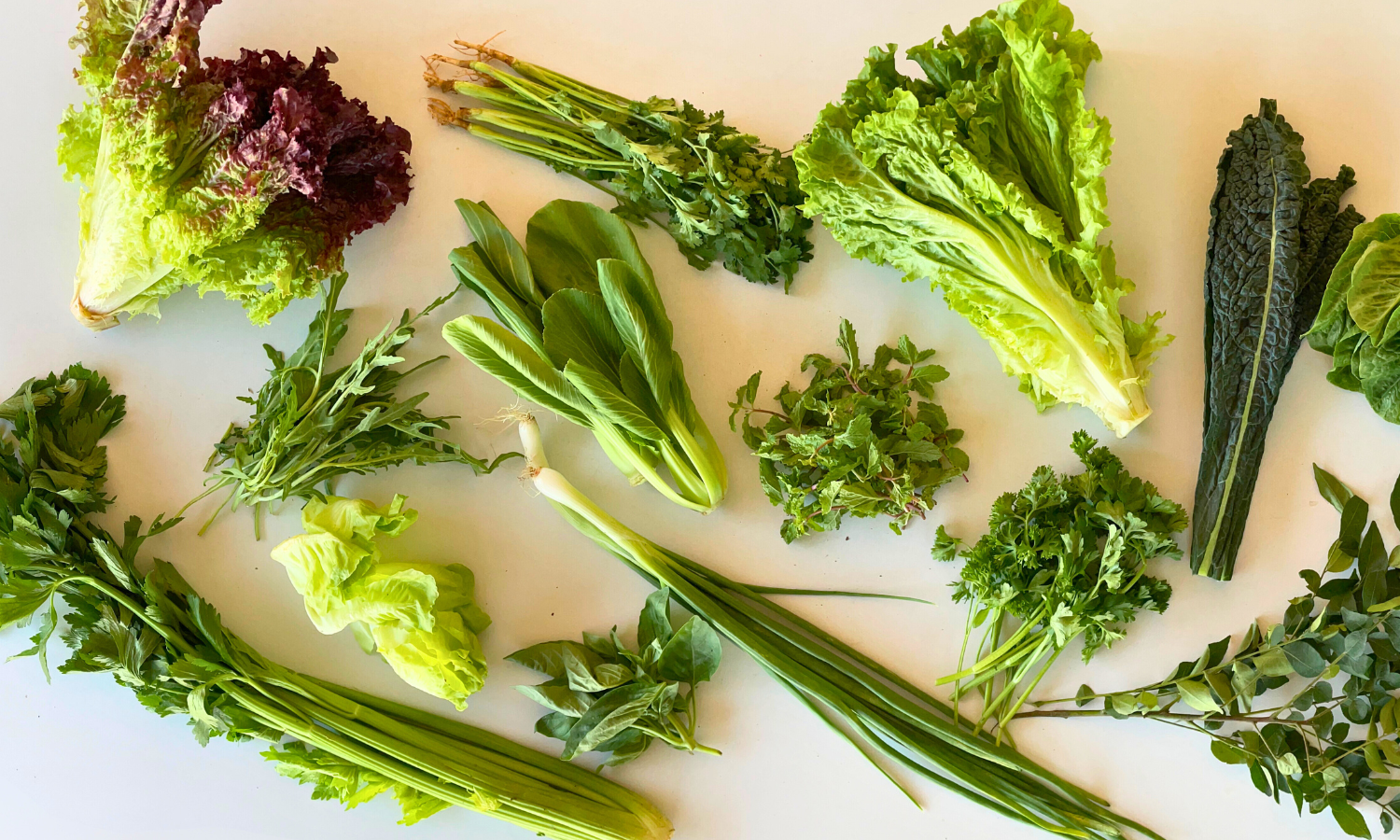 Leafy Greens