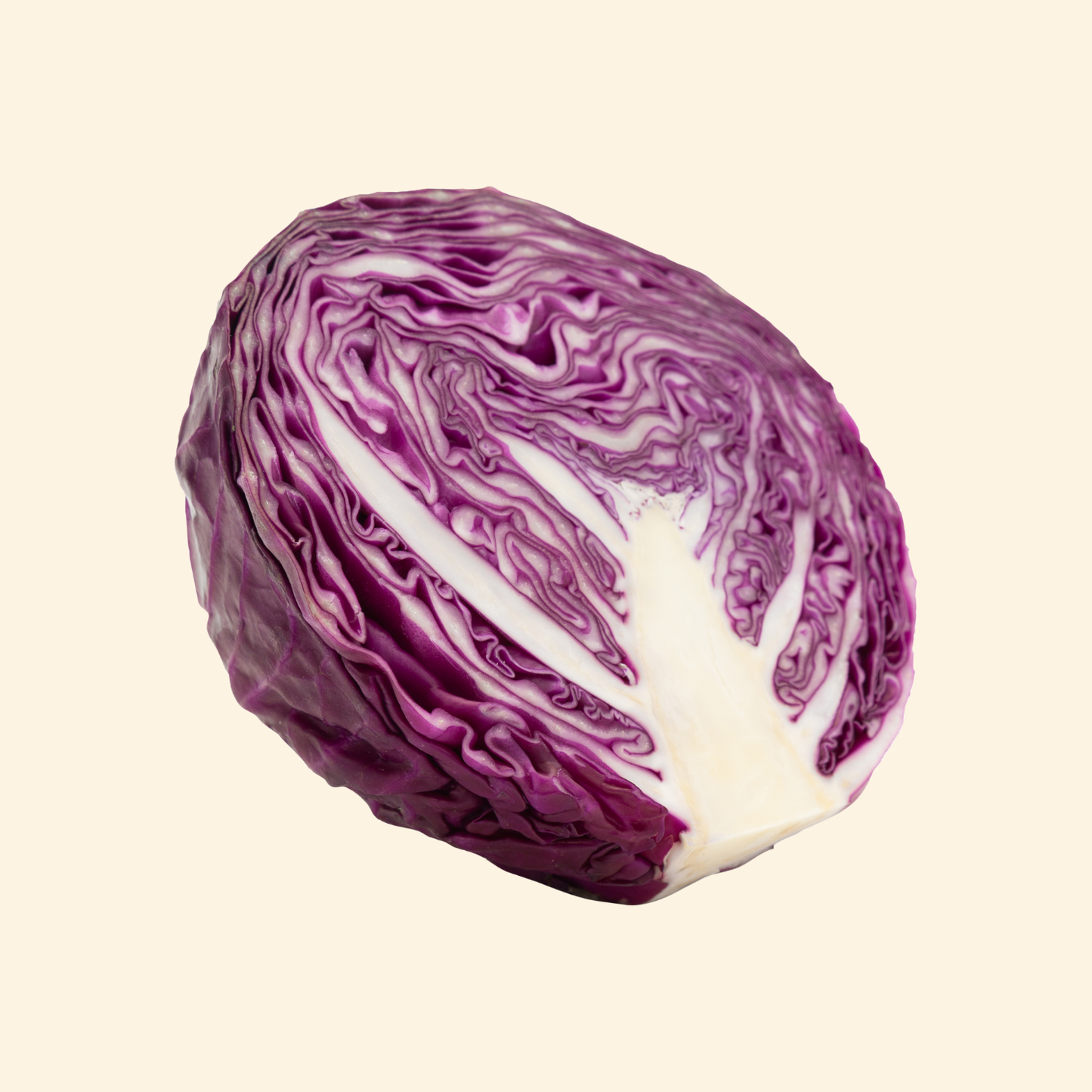 Red Cabbage