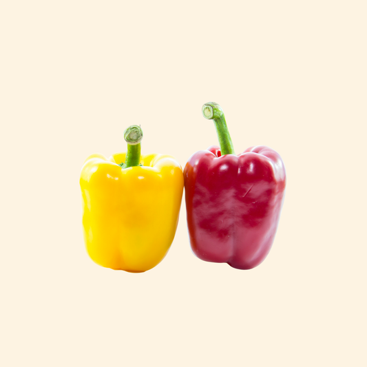 Capsicum Red & Yellow
