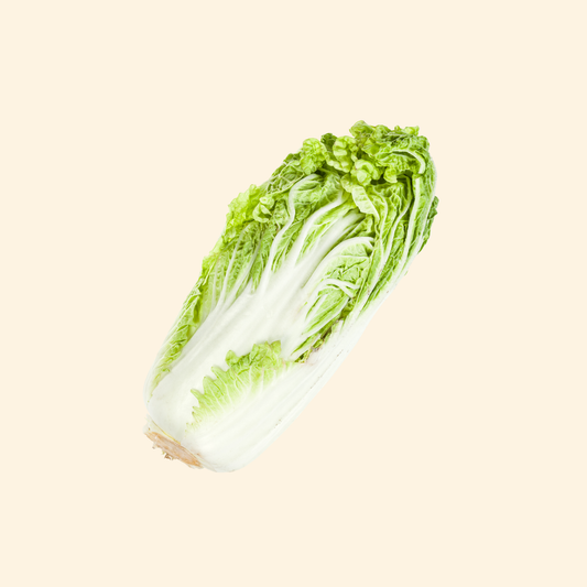 Chinese Cabbage