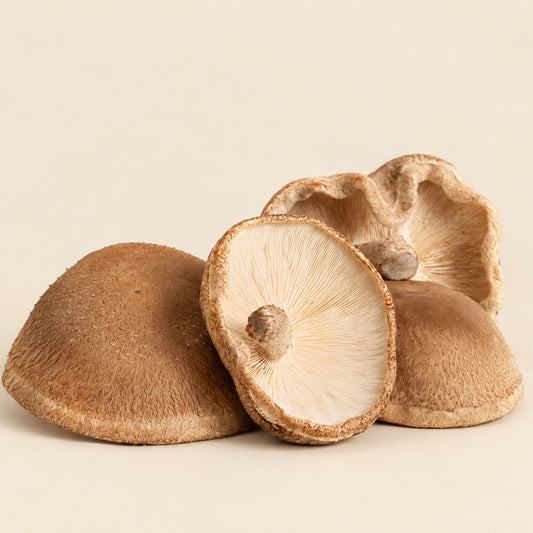 Shiitake Mushroom