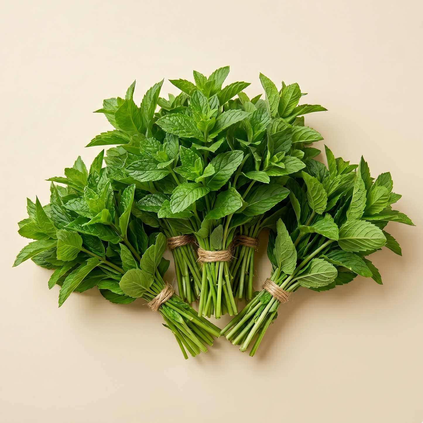 Mint