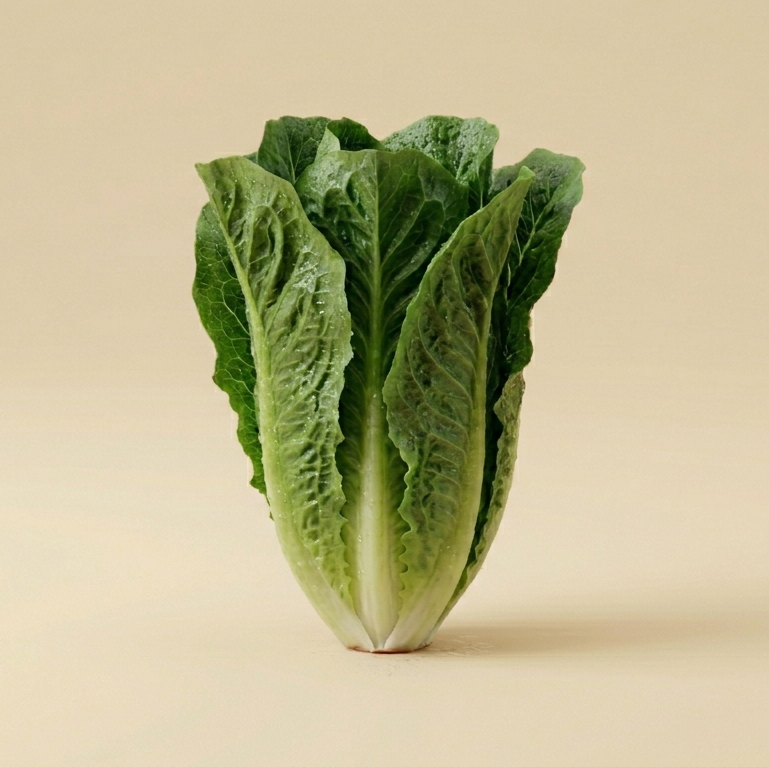 Lettuce Romaine