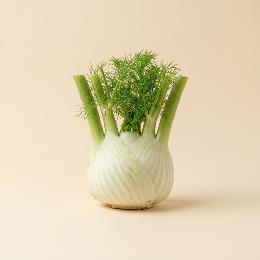 Fennel