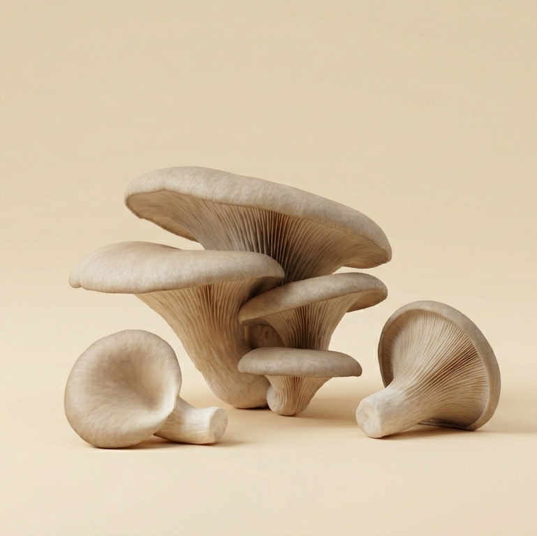 Oyster Mushrooms