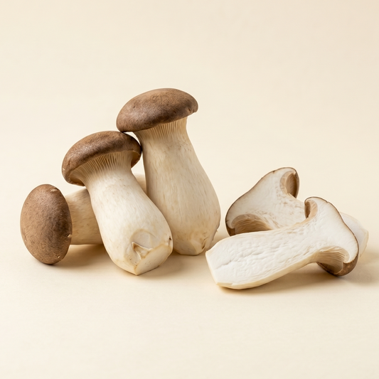 King Trumpet Mushroom