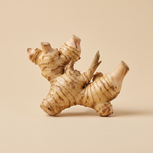 Galangal