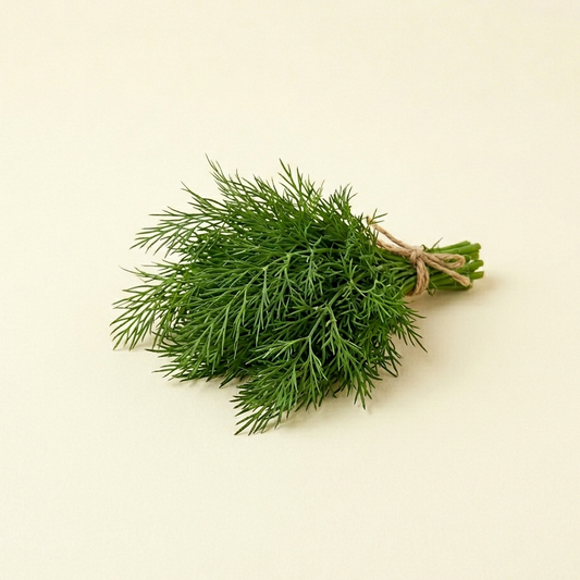 Dill Leaves