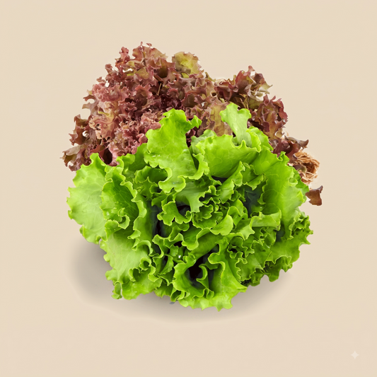 Lettuce Mix