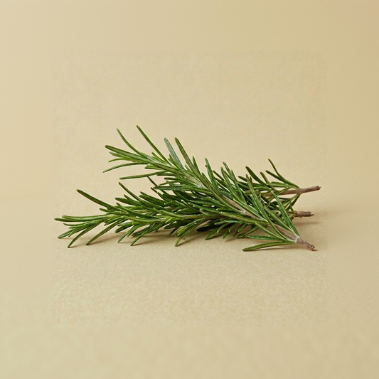 Rosemary (25Gm)