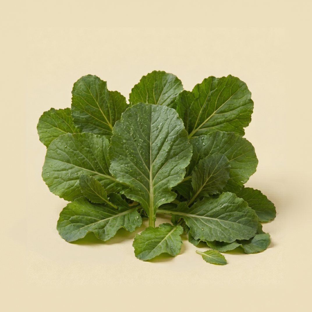 Mustard Leaves