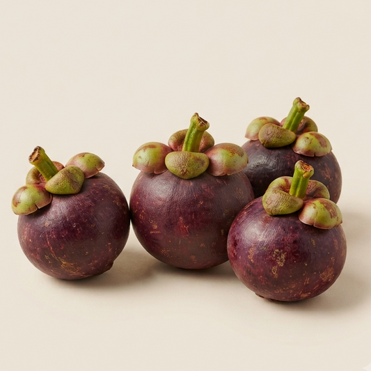 Kerala Mangosteen