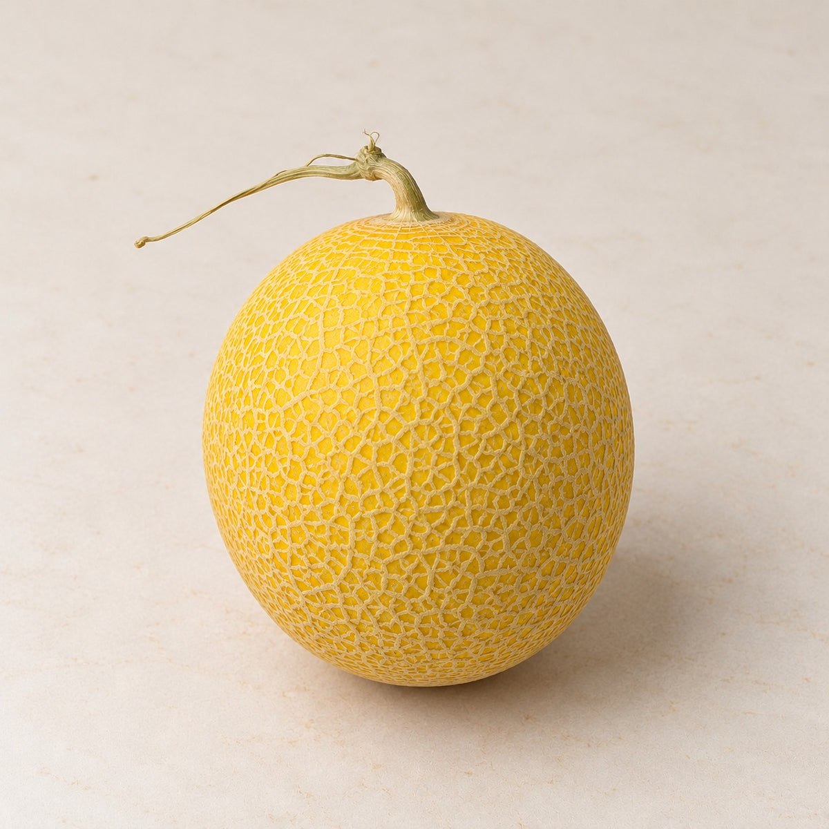 Honey Dew Melon