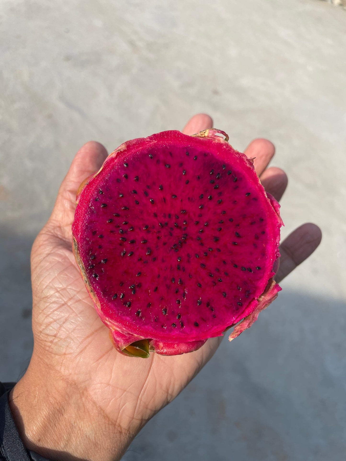 Dragon Fruit Red