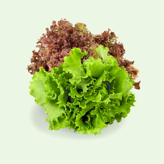 Lettuce Mix