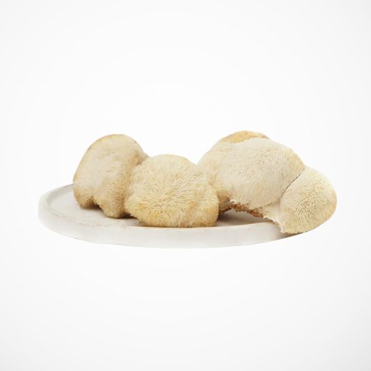 Lion's Mane Mushroom