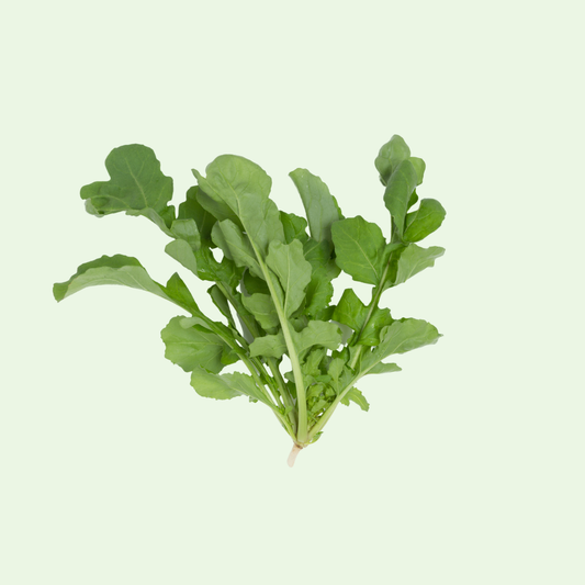 Arugula Natural