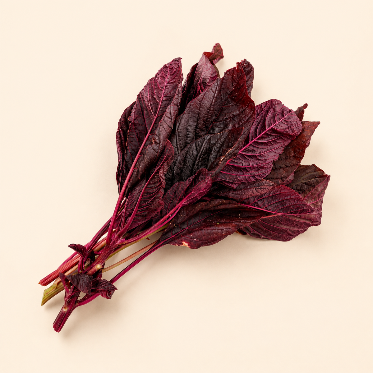 Amaranth Leaves