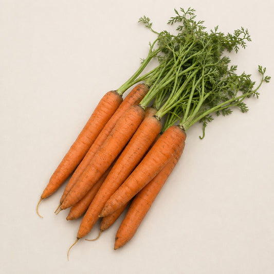 Ooty Carrots