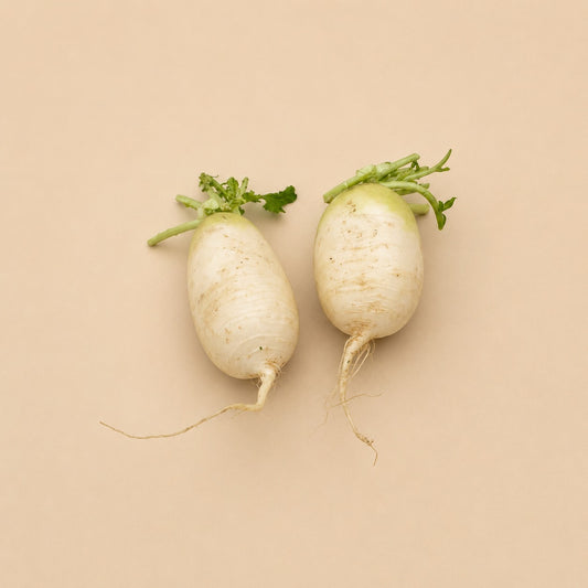Daikon Radish